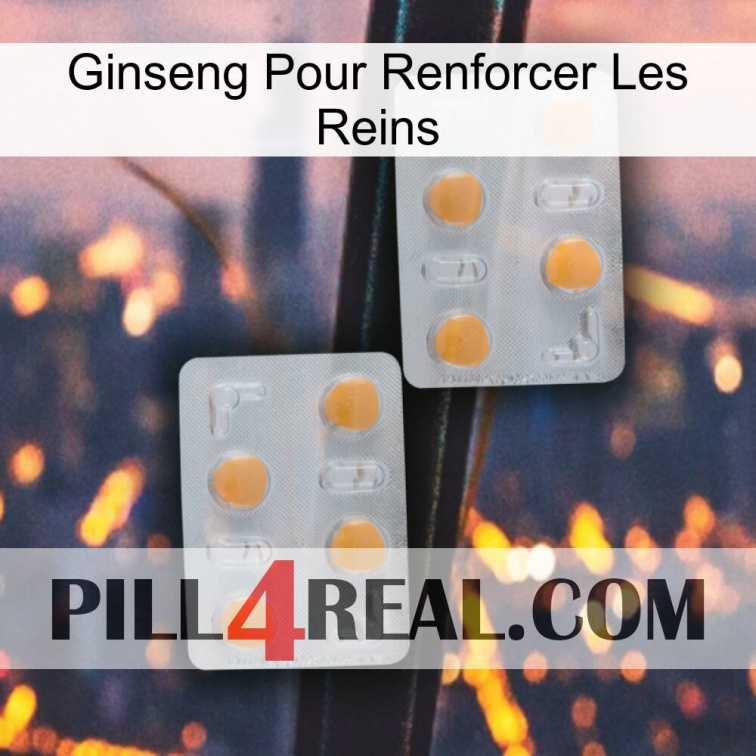 Ginseng For Reinforcing Kidney 25